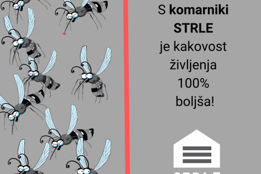 Kdaj je pravi čas za komarnike?